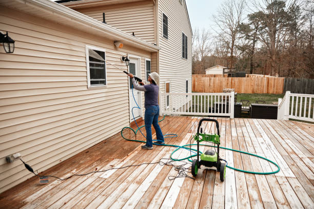 Best Roof Pressure Washing  in Paxton, IL