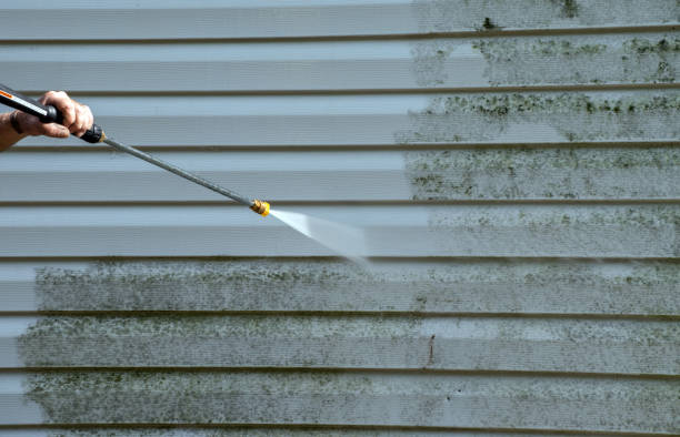 Best Affordable Pressure Washing  in Paxton, IL
