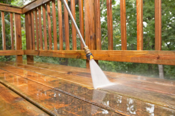 Best Roof Power Washing Services  in Paxton, IL