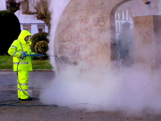 Best Affordable Pressure Washing  in Paxton, IL